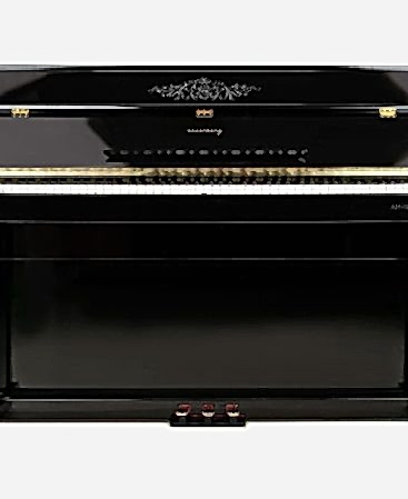 Arsenberg ADP1923BV3 Siyah Dijital Piyano 2024 Versiyon