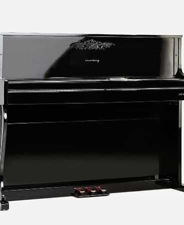 Arsenberg ADP1923BV3 Siyah Dijital Piyano 2024 Versiyon