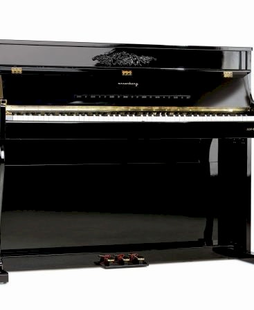 Arsenberg ADP1923BV3 Siyah Dijital Piyano 2024 Versiyon