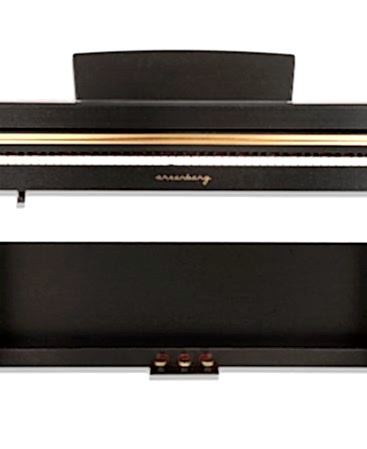Arsenberg ADP1968B Siyah Dijital Piyano