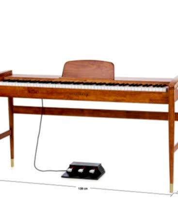 Arsenberg ADP2009 Dijital Piyano