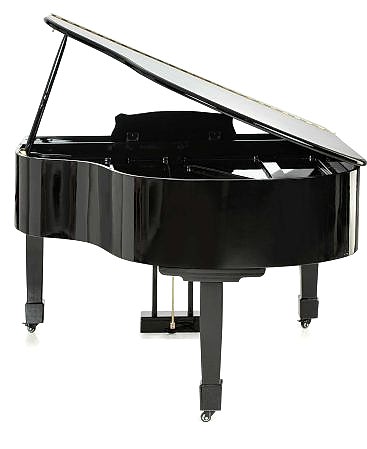 Arsenberg Speyer AGP150B Siyah Grand Piyano