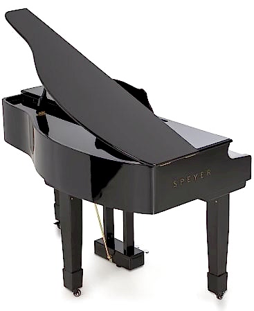 Arsenberg Speyer Serisi AG30S Grand Piyano