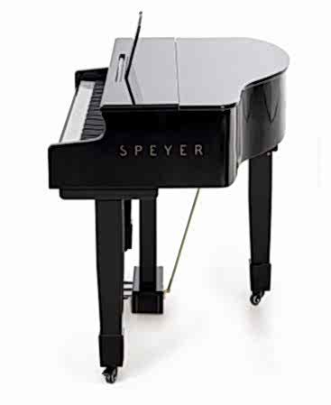 Arsenberg Speyer Serisi AG30S Grand Piyano